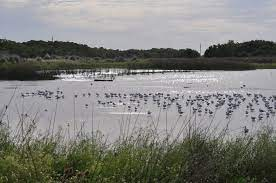 Lagunas del Rosario