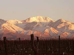 Viñedos de Tupungato ￼
