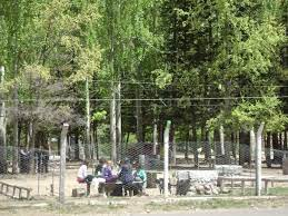Camping de Tunuyàn municipal￼
