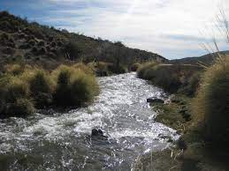 Arroyo Yaucha