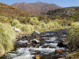 El Parral