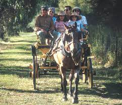 Turismo rural en San Carlos￼