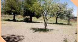 Toma de San Pedro￼