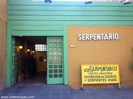 Serpentario Anaconda