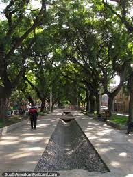  Canal Tajamar