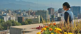Terraza Jardin Mendoza