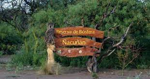Reserva ecologica de Ñacuñan￼