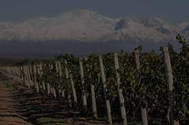Bodega tittarelli￼