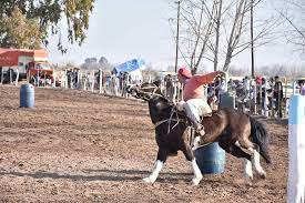 Feria Ganadera provincial
