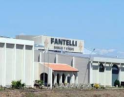 Bodega Fantelli