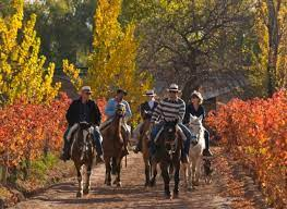 Cabalgatas
