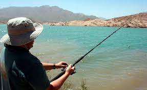 Pesca